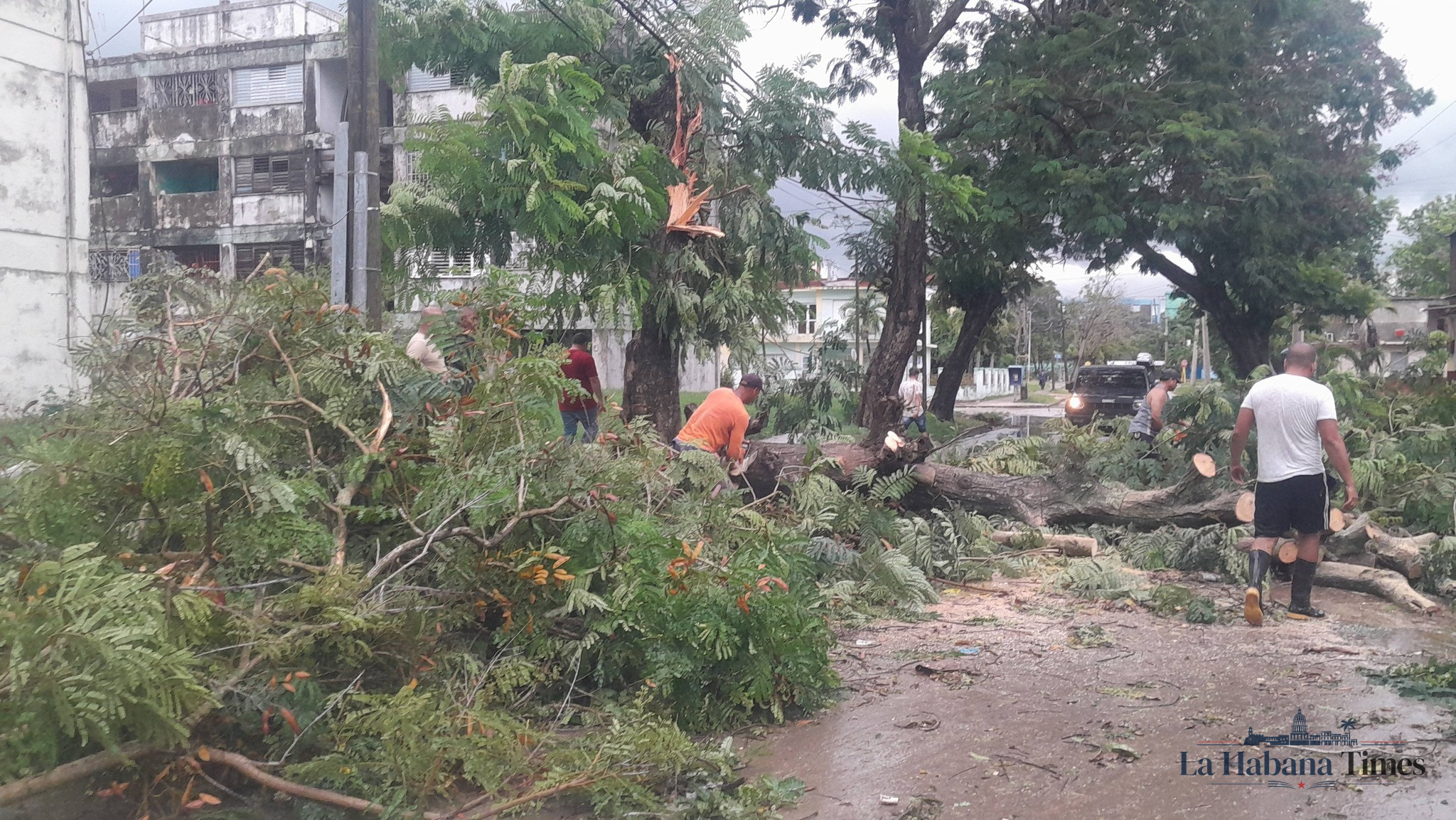 Tormenta severa golpea Bayamo: 85 viviendas afectadas, apagones agravados y árboles derribados
